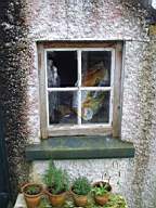 edencottages - 5193.JPG